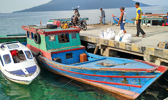 You will vainly look for fruit on it in autumn